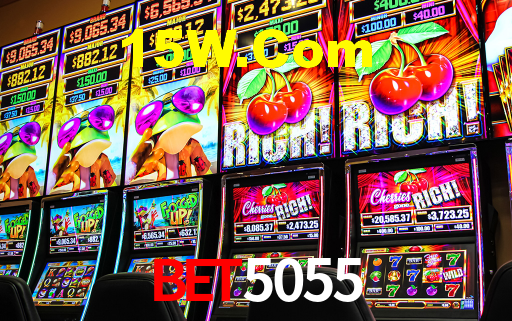 Premium Interface Bet5055